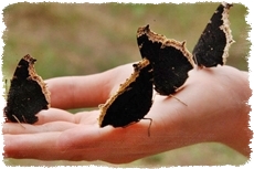 Agroturystyka pełna przygód