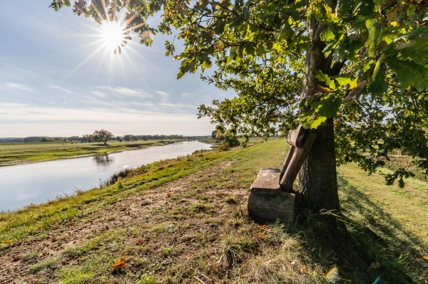 Nocleg agroturystyka Międzychód