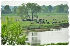 Agroturystyka w Lubuskim