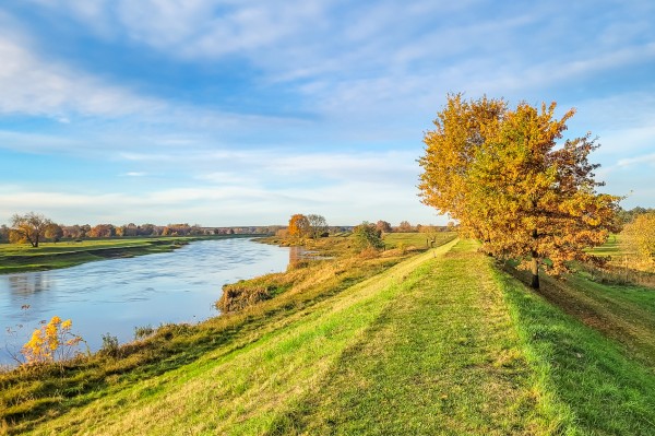 Widok na rzekę Wartę