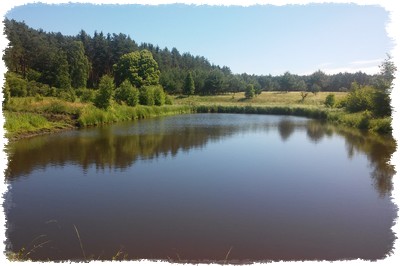 Staw nieopodal agroturystyki