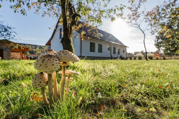 Dom Przy Puszczy Noteckiej z zewnątrz