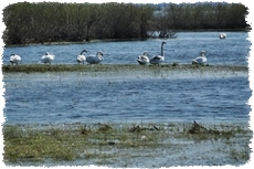 Ujście Warty agroturystyka