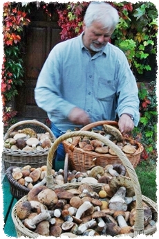 Grzyby agroturystyka