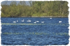 Agroturystyka na łonie natury