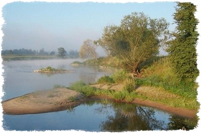 Agroturystyka nad Wartą ryby