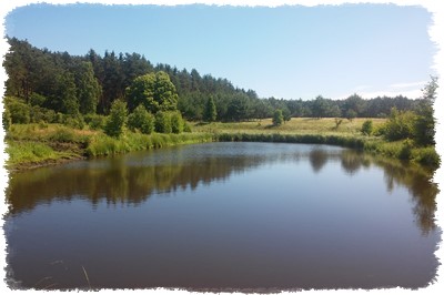 Łowienie ryb agroturystyka