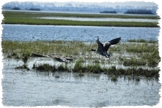 Agroturystyka przy parku