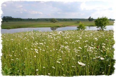 Agrotyrustyka na lato