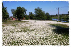 Agroturystyka wiosną