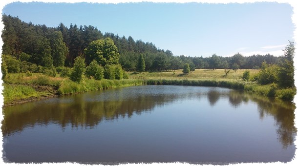 Wędkowanie na Warcie