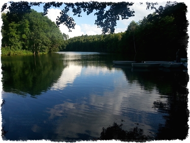 Jezioro/Staw Goszczanowski atrakcja