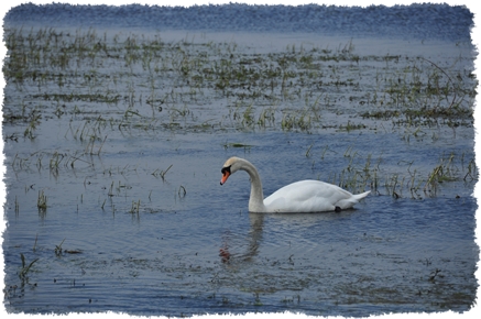 atrakcje turystyczne Parku Narodowego Ujście Warty