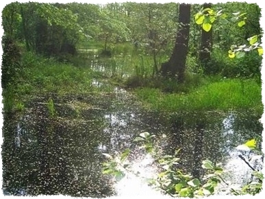 Lubuskie piesze wędrówki