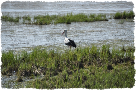 atrakcje turtystyczne Pałac Mierzęcin