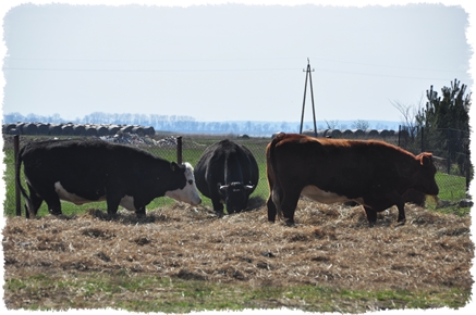 trasy turystyczne Lubuskie