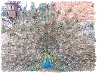 województwo Lubuskie agroturystyka