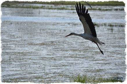 województwo Lubuskie agroturystyka