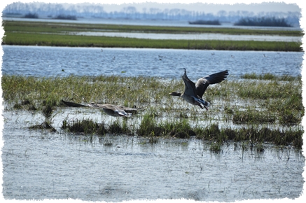 atrakcje turtystyczne Ujście Warty