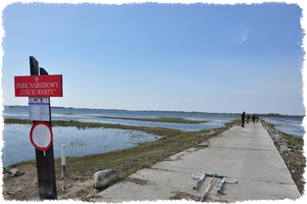 turystyka Ujście Warty